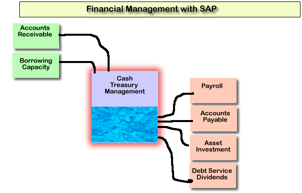 Financial Management with SAP